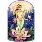 "Laxmi" T-Shirt